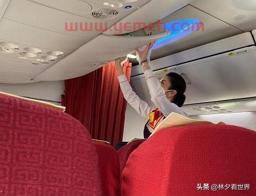 美国航空空姐爆料