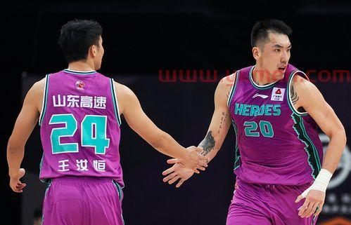 王哲林资料
