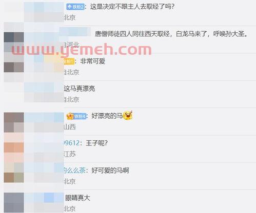 新北方在线直播