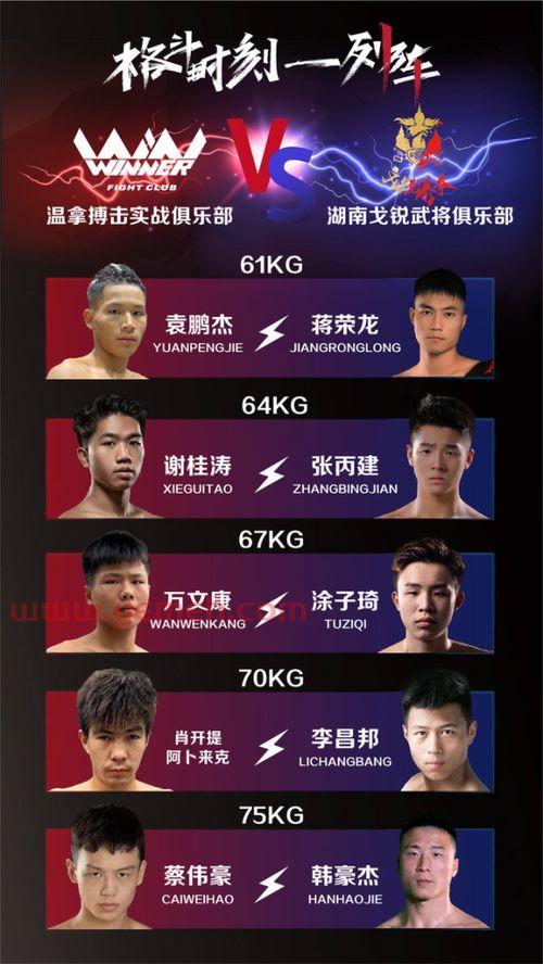 武林风播放时间