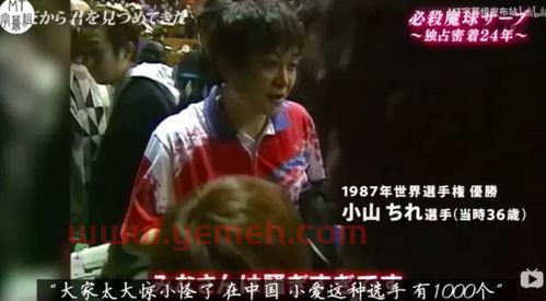 张怡宁哄福原爱不哭