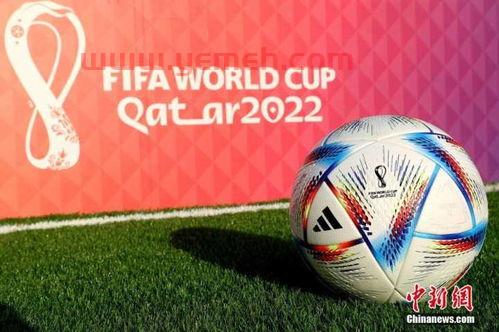 2022世界杯名单