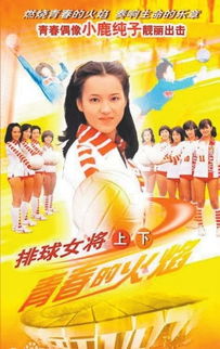日本nhk中国女排（中国女排日本女排视频）