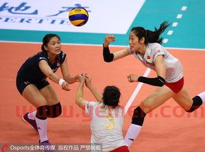 日本女排精英赛中国对巴西（日本奥运会中国女排对巴西）