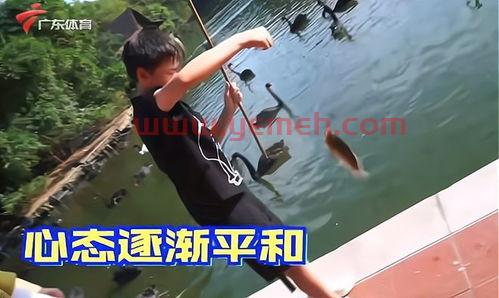 全红婵打破世界纪录
