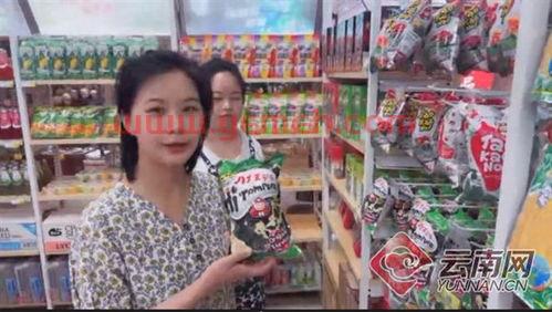 云南卫视直播在线观看
