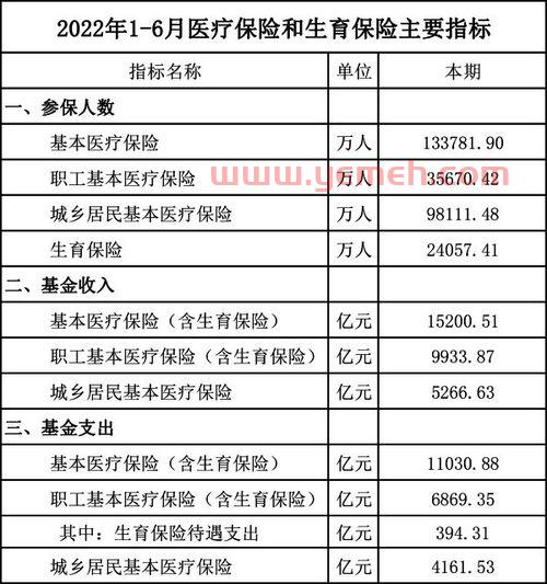 生育保险和医疗保险合并
