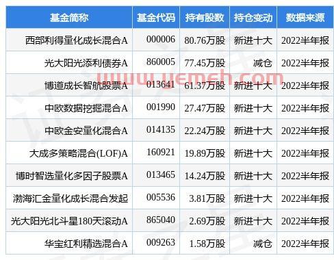 股权投资是什么意思
