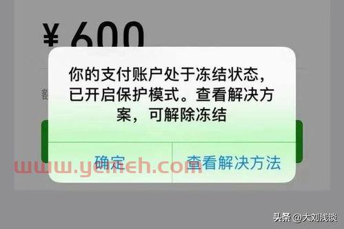 如何办理支付宝卡