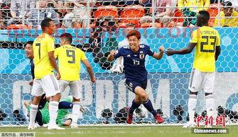 2022年世界杯*是南美球队