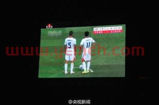 有什么电视台可以观看世界杯比赛