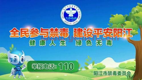 阳江市车辆违章查询