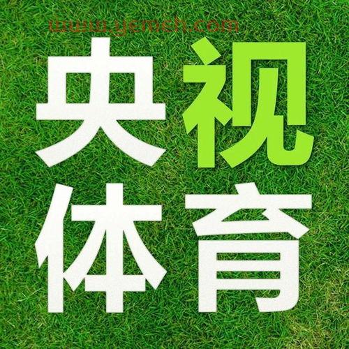 ***3在线直播观看