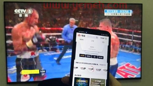 ***5在线直播观看手机版